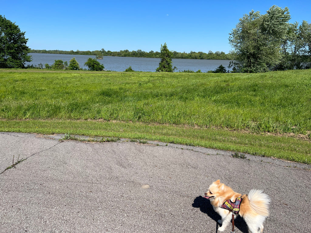 I was made to walk in the cool of the day with Him